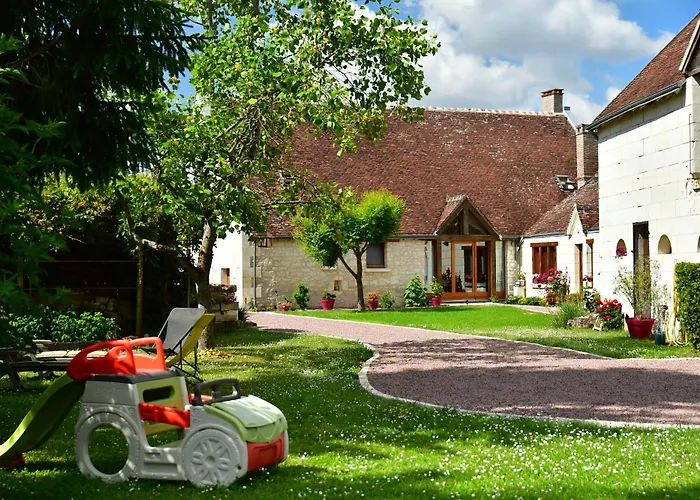 Le Tulipier de Virginie