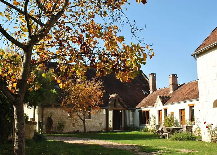 Le Tulipier de Virginie